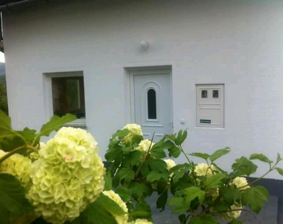 Guest House First Stop Rakovica Exteriér fotografie