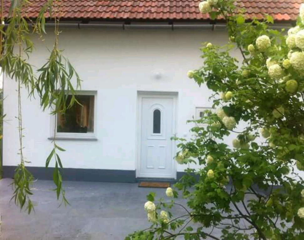 Guest House First Stop Rakovica Exteriér fotografie
