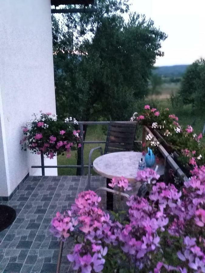 Guest House First Stop Rakovica Exteriér fotografie